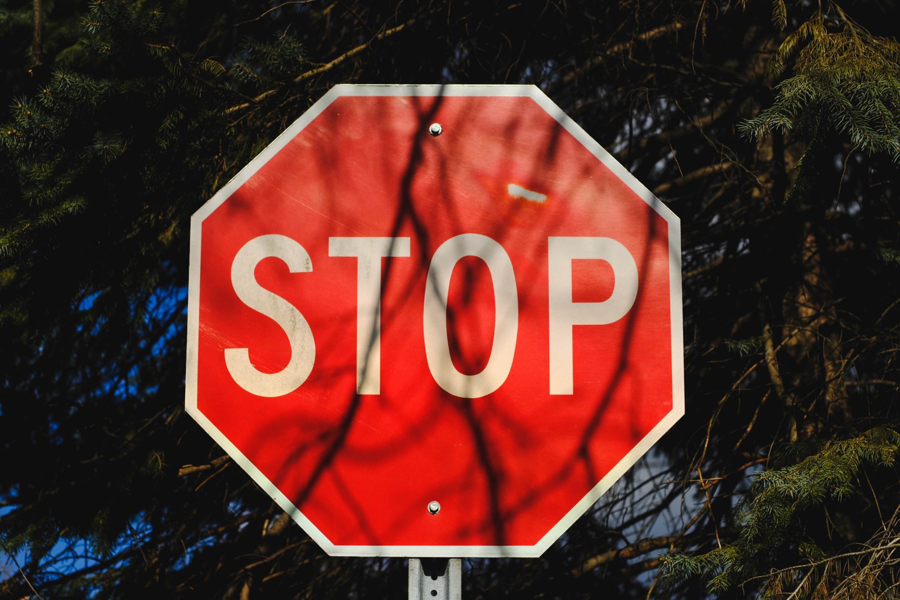 No watching movies while driving